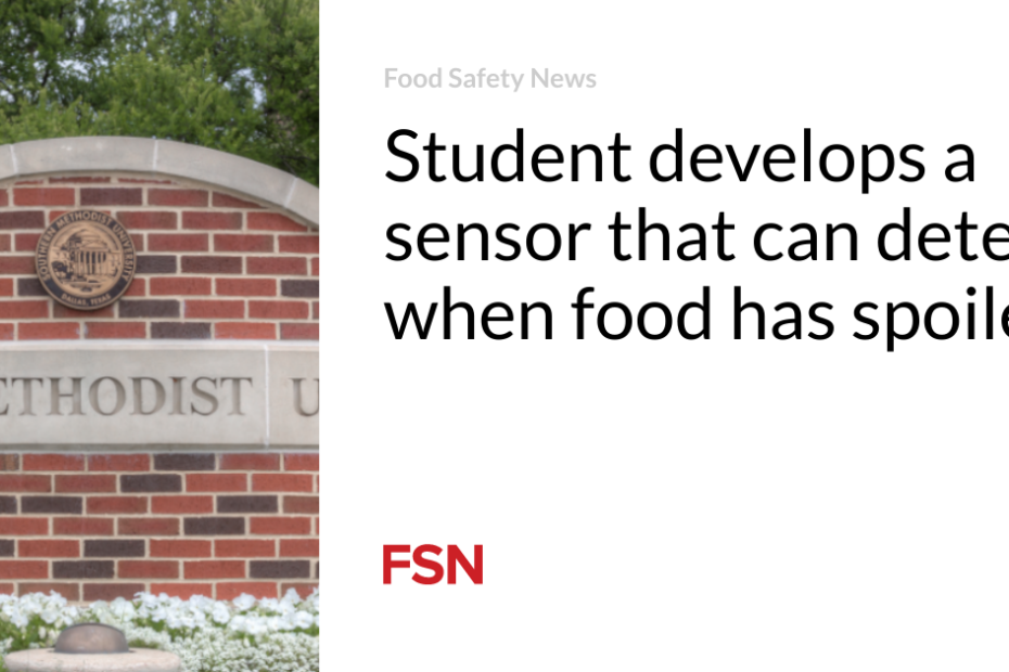 Student develops a sensor that can detect when food has spoiled