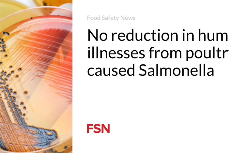 No reduction in human illnesses from poultry-caused Salmonella