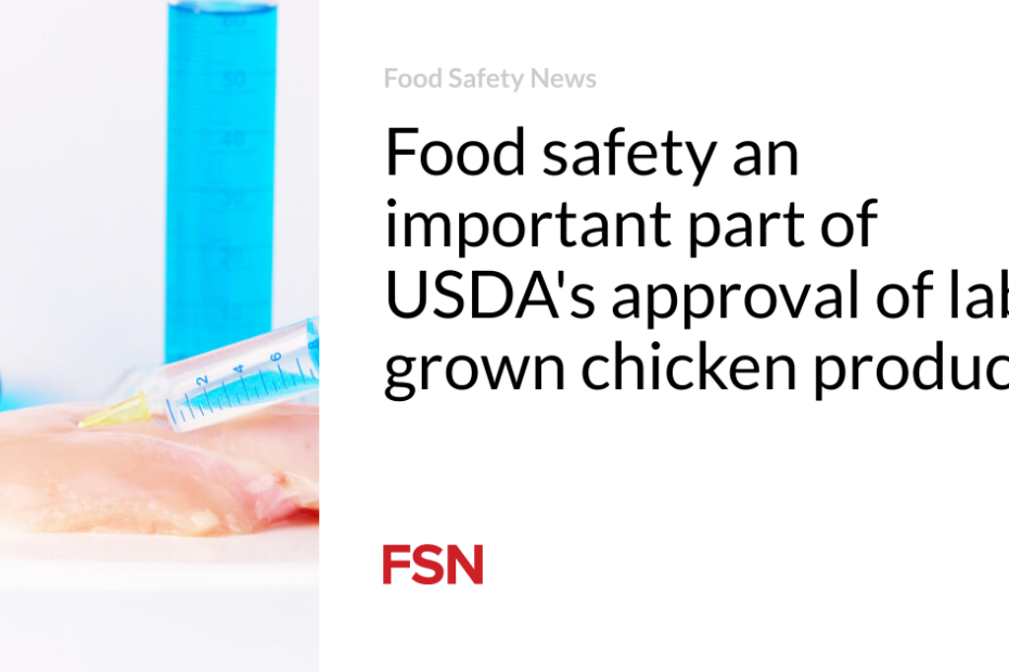 Food safety an important part of USDA’s approval of lab-grown chicken products