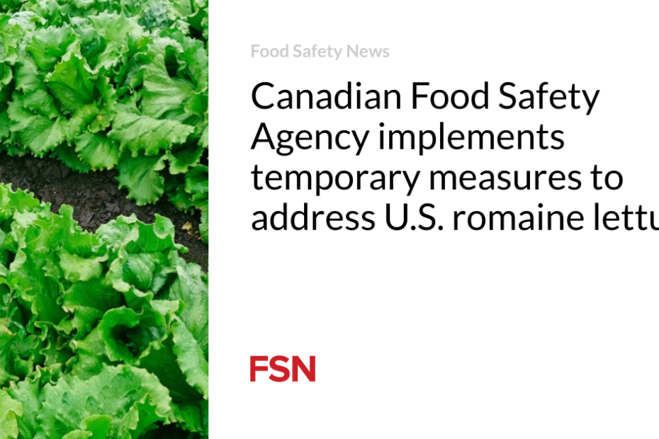 Canadian Food Safety Agency implements temporary measures to address U.S. romaine lettuce