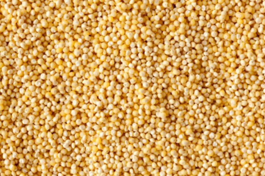 Military millets: India’s food and defence ministries formalise agreement to boost government-level millet consumption