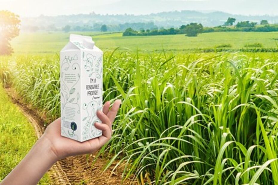 Tetra Pak Exclusive Part II: The importance of empowering consumers via healthier, more sustainable product innovation