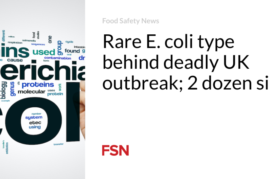 Rare E. coli type behind deadly UK outbreak;  2 dozen sick