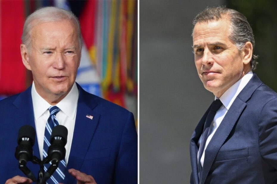 Biden allies say president’s ‘inability to say no’ to Hunter caused ‘avoidable political distractions’: Report