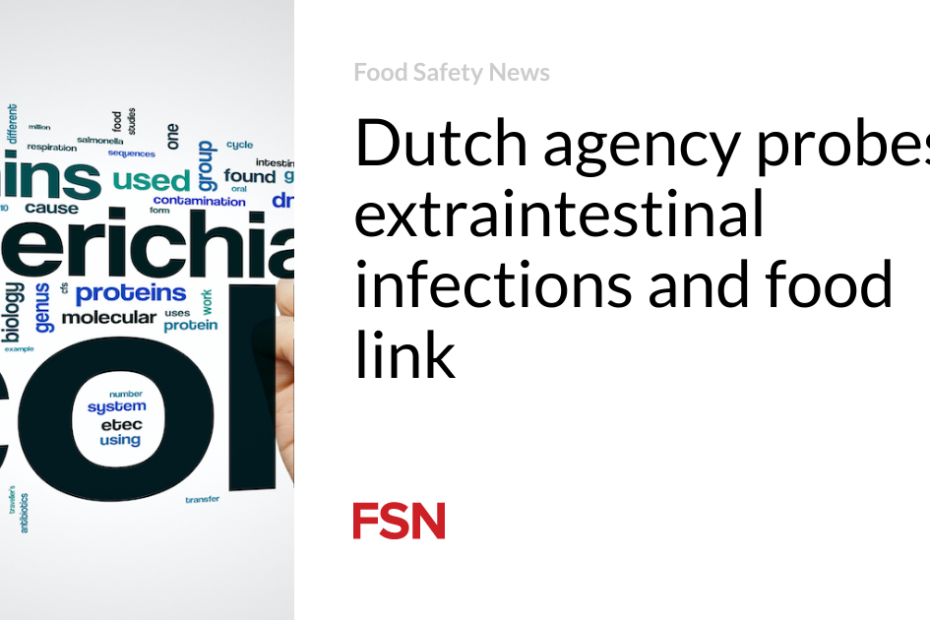 Dutch agency probes extraintestinal infections and food link