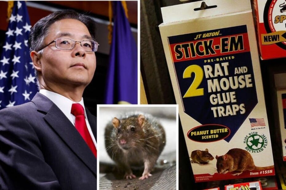 Democrats introduce bill to ban rodent-killing glue traps