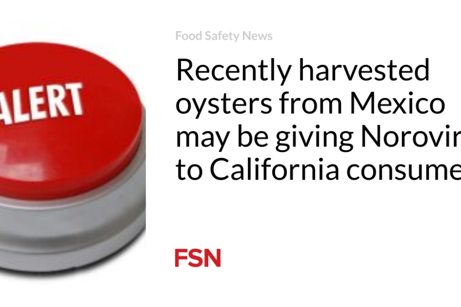 Recently harvested oysters from Mexico may be giving Norovirus to California consumers