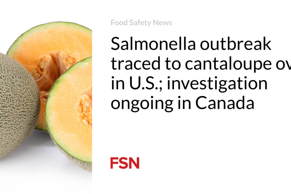 Salmonella outbreak traced to cantaloupe over in U.S.; investigation ongoing in Canada