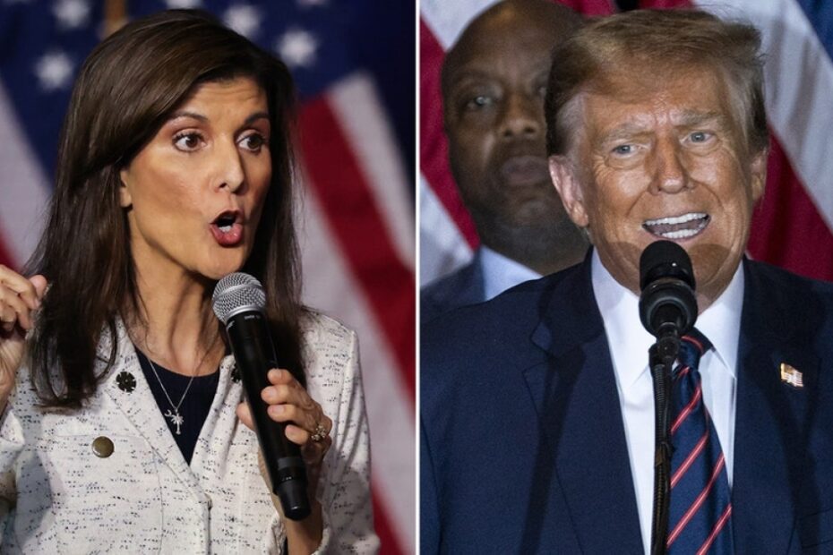 Nikki Haley slams Trump after defamation trial verdict: ‘Not talking about’ border, inflation