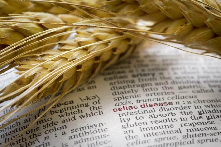 EFSA tool predicts food risk for coeliac patients