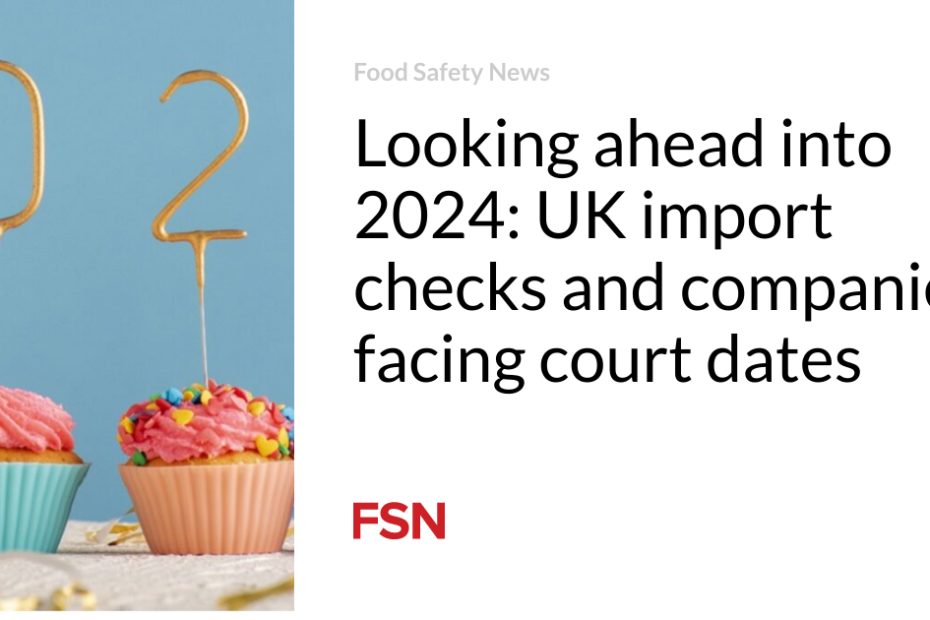 Looking ahead into 2024: UK import checks and companies facing court dates