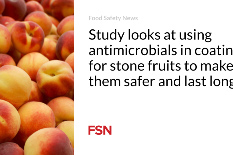 Study looks at using antimicrobials in coatings for stone fruits to make them safer and last longer