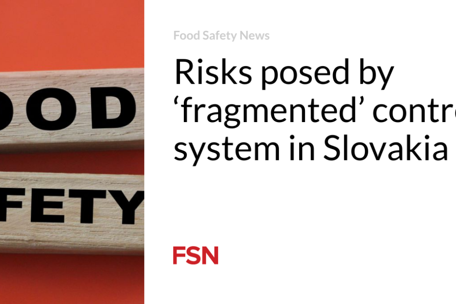 Risks posed by ‘fragmented’ control system in Slovakia