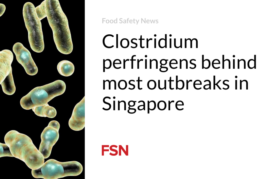 Clostridium perfringens behind most outbreaks in Singapore