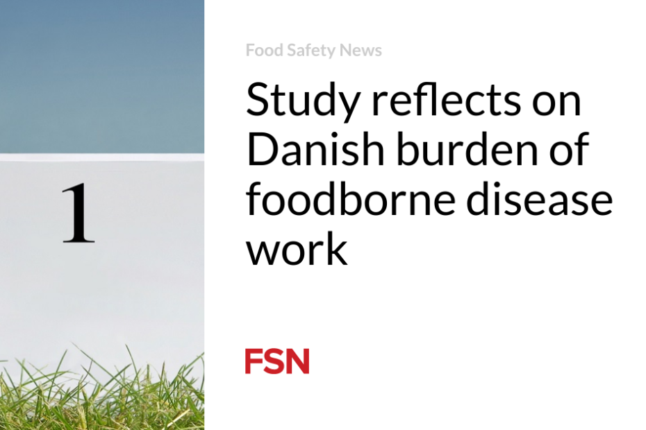 Study reflects on Danish burden of foodborne disease work