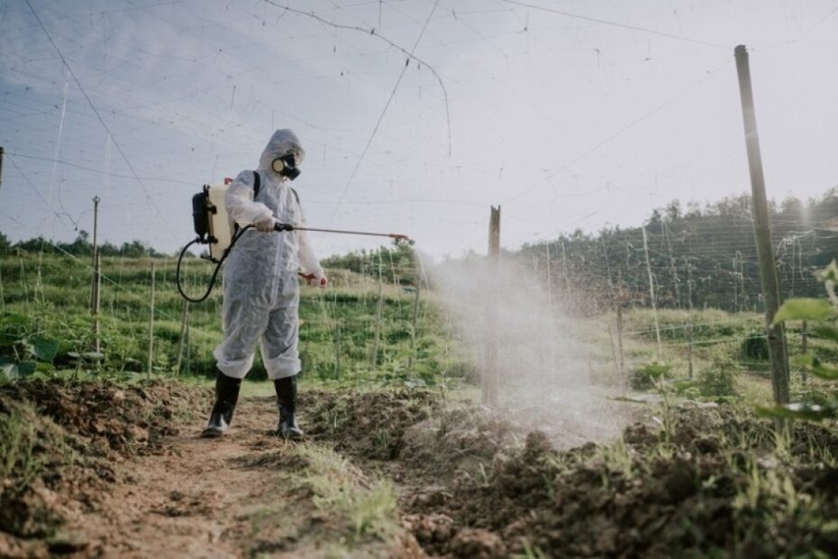 International alignment: South Korean ministries join forces to cut pesticide levels, eye food exports boost