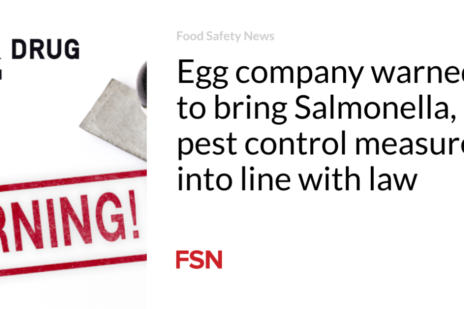 Egg company warned to bring Salmonella, pest control measures into line with law