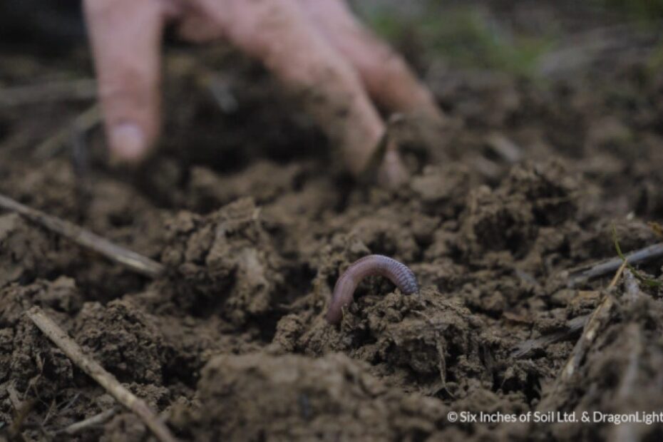 Six Inches is generating a real buzz among the next gen farmers