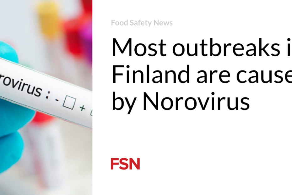 Most outbreaks in Finland are caused by Norovirus