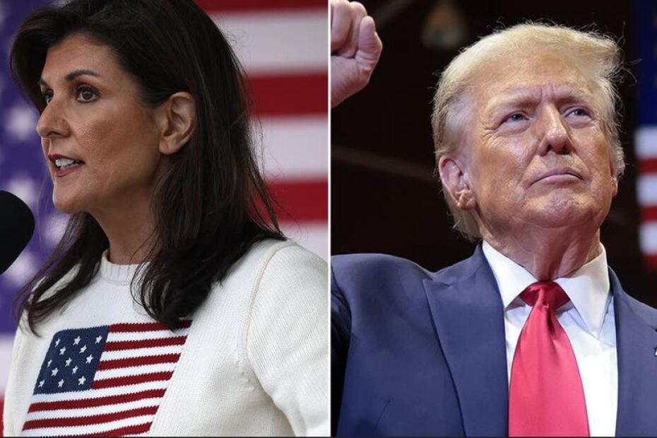 Nikki Haley says ‘Trump will not win the general election’ ahead of South Carolina primary