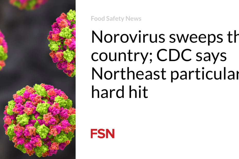 Norovirus sweeps the country; CDC says Northeast particularly hard hit