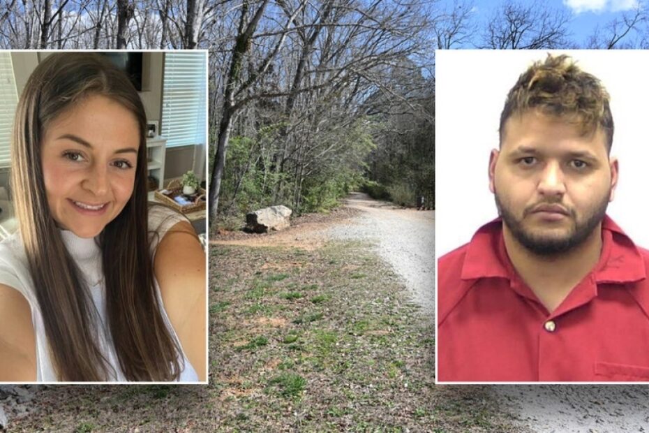 Laken Riley killing: GOP senators demand Mayorkas release files on migrant murder suspect