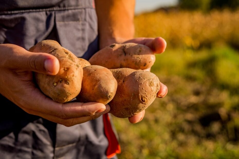 Food swaps to stop biodiversity loss