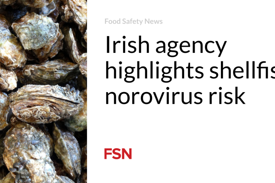 Irish agency highlights shellfish norovirus risk