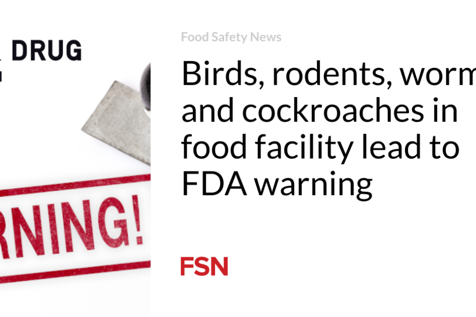 Birds, rodents, worms and cockroaches in food  facility lead to FDA warning