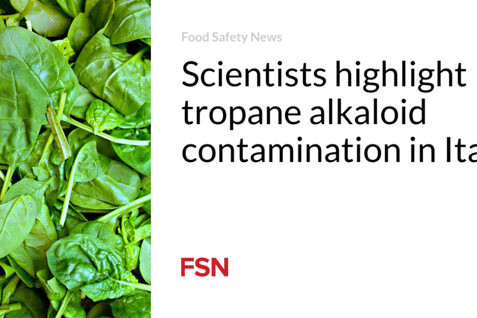 Scientists highlight tropane alkaloid contamination in Italy