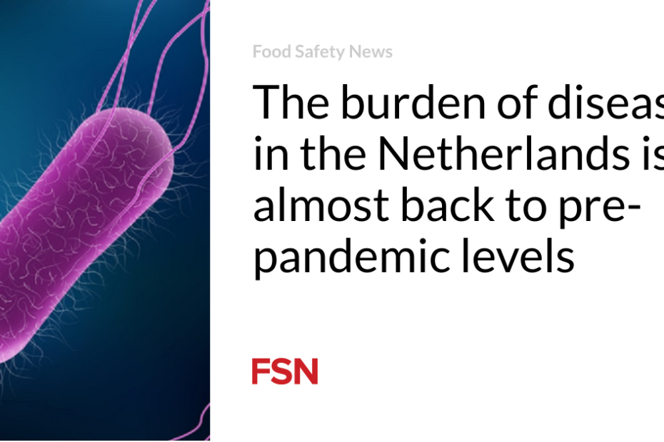 The burden of disease in the Netherlands is almost back to pre-pandemic levels