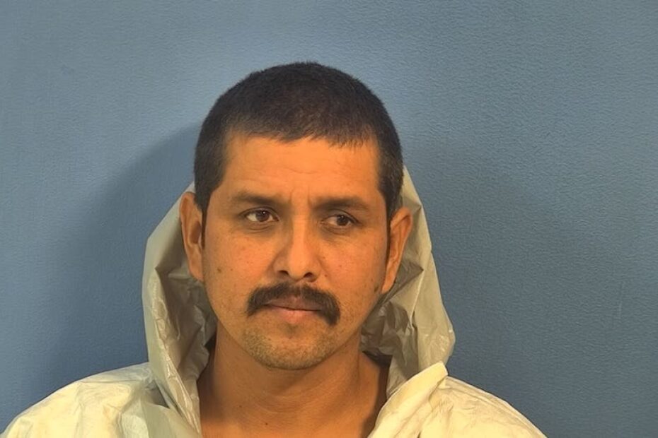 Illegal immigrant in Illinois accused of nearly decapitating his wife in front of their two children