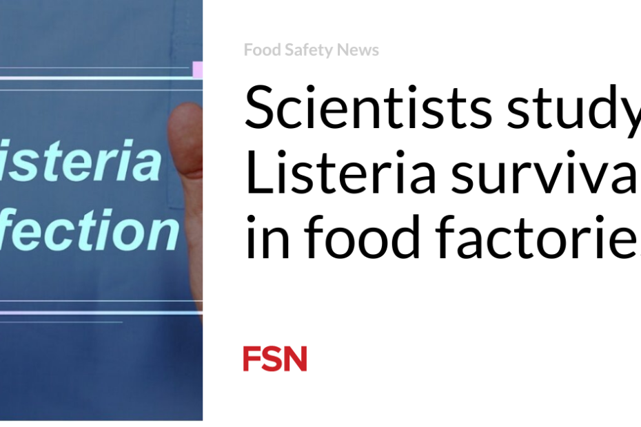 Scientists study Listeria survival in food factories