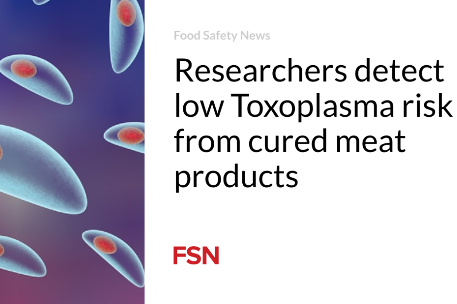 Researchers detect low Toxoplasma risk from cured meat products