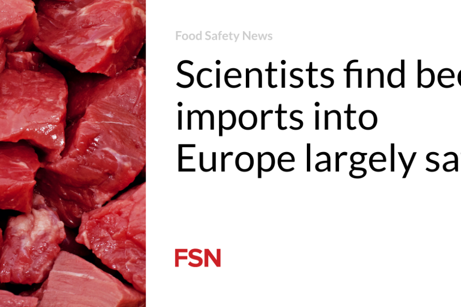 Scientists find beef imports into Europe largely safe