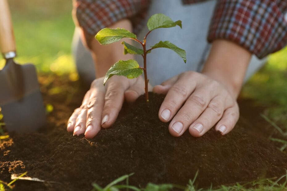 7 Things to Do for Your Community This Earth Month