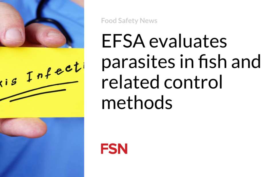 EFSA evaluates parasites in fish and related control methods