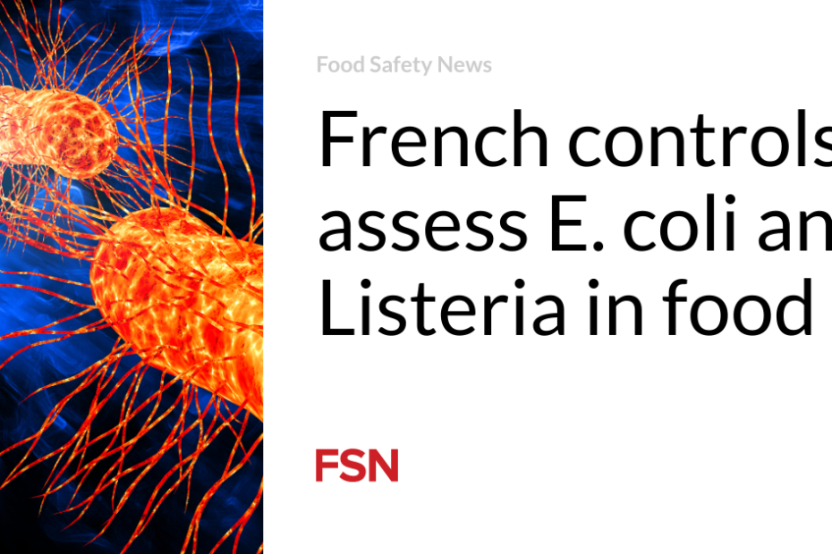 French controls assess E. coli and Listeria in food