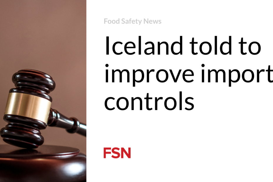 Iceland told to improve import controls