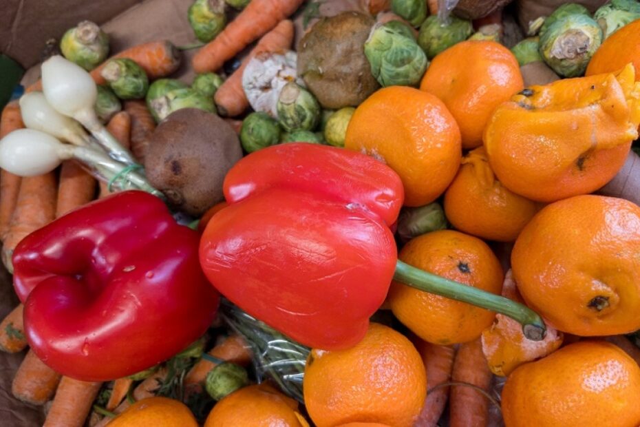 Is the EU going far enough to tackle food waste?