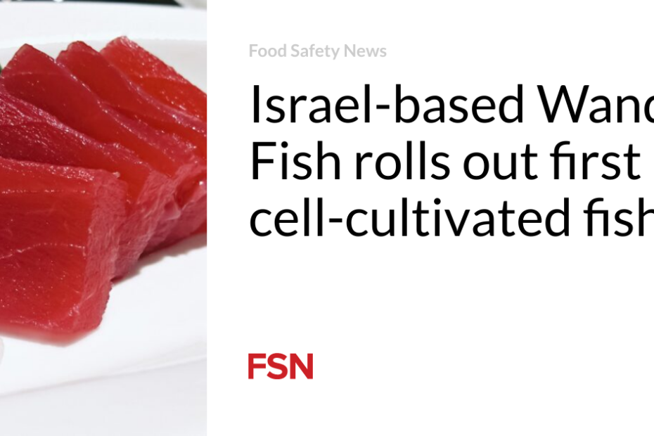 Israel-based Wanda Fish rolls out first cell-cultivated fish