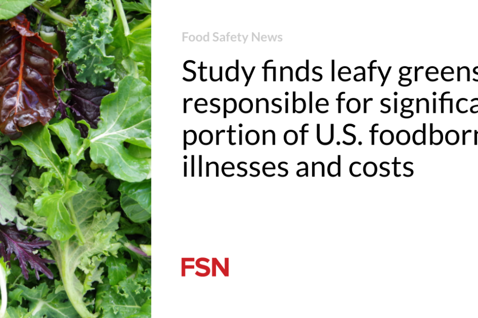 Study finds leafy greens responsible for significant portion of U.S. foodborne illnesses and costs