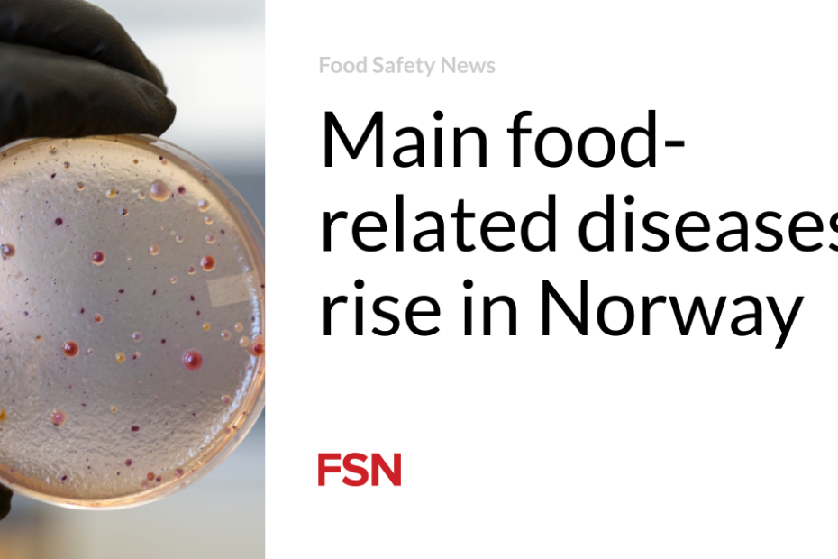 Main food-related diseases rise in Norway