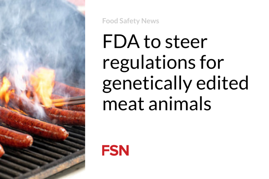 FDA to steer regulations for genetically edited meat animals