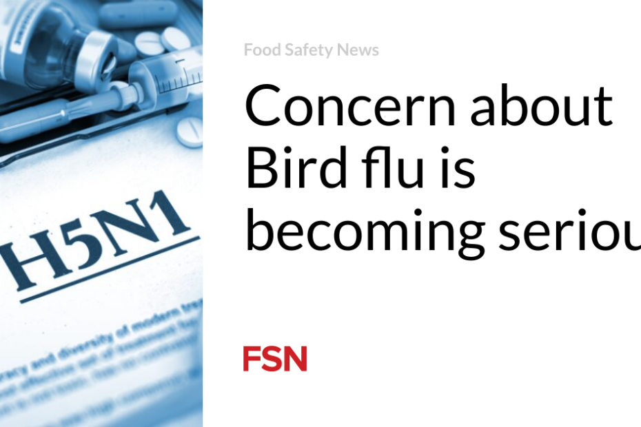 Concern about Bird flu is becoming serious