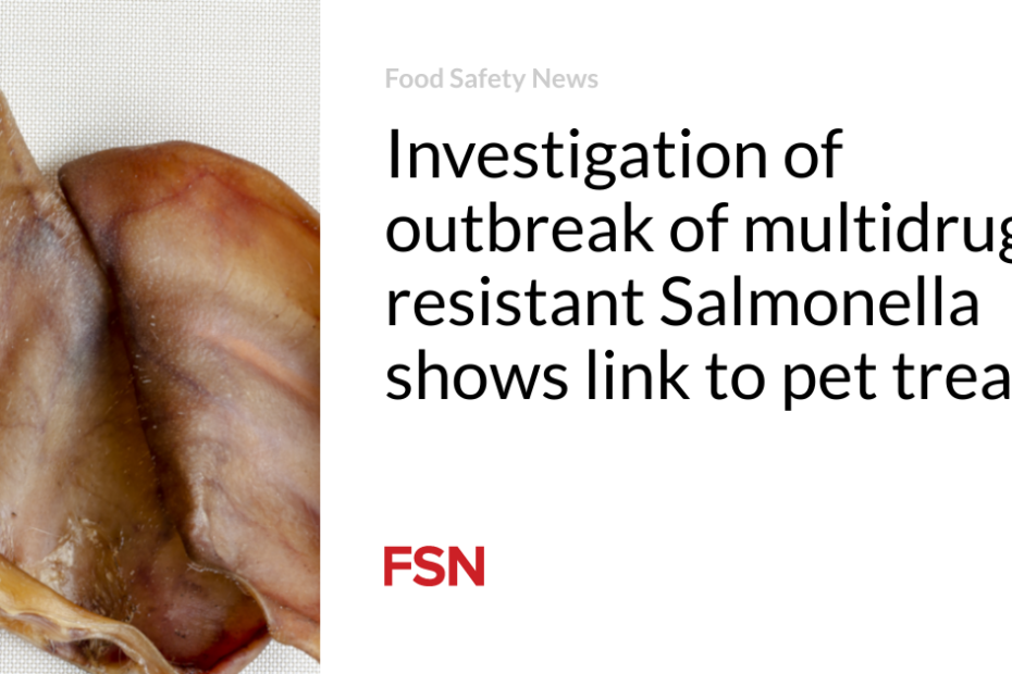 Investigation of outbreak of multidrug-resistant Salmonella shows link  to pet treats