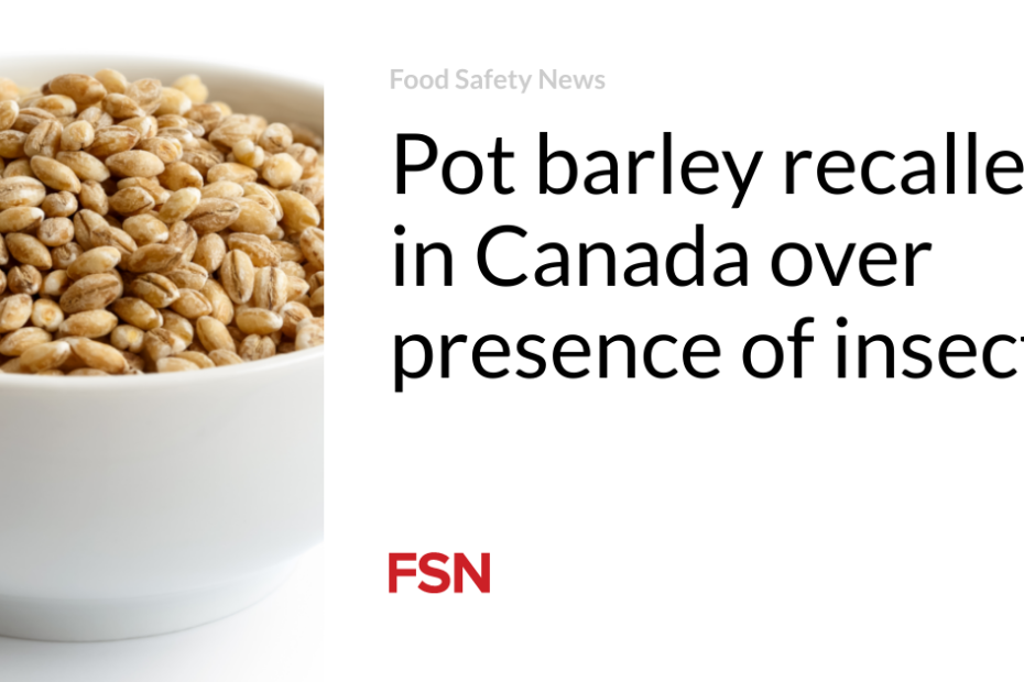 Pot barley recalled in Canada over presence of insects