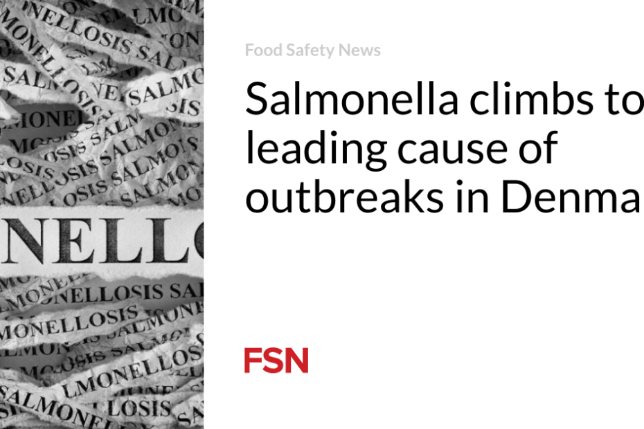 Salmonella climbs to leading cause of outbreaks in Denmark