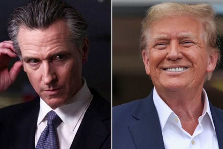 Adam Carolla predicts Trump ‘destroys’ Newsom in head-to-head matchup: ‘No one’s buying what he’s selling’