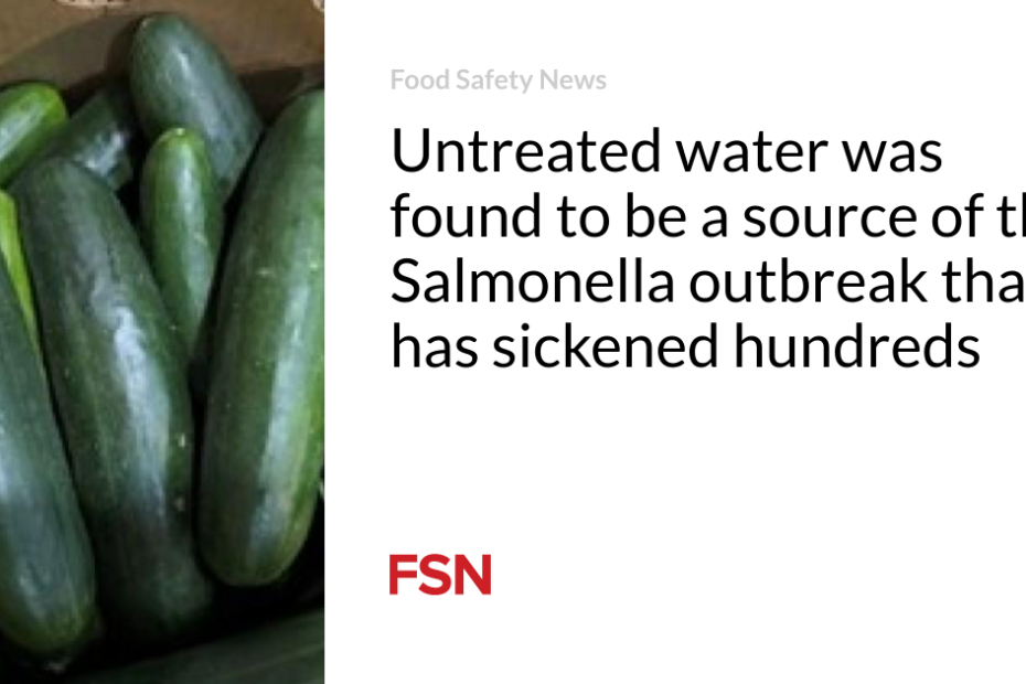 Untreated water was found to be a source of the Salmonella outbreak that has sickened hundreds